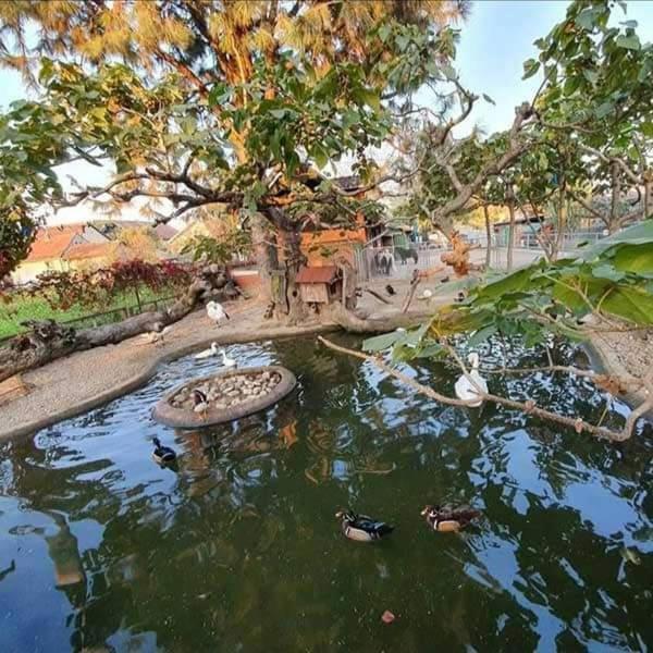 Apartman Normanci Near Bizovac Thermal Spa Bagian luar foto